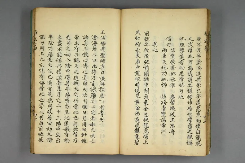 呂祖指玄篇秘註_純陽子著;滄海老人本誠子秘註_绝版书_天涯系列_t涯_绝版古籍电子书合集（13大类）_道家