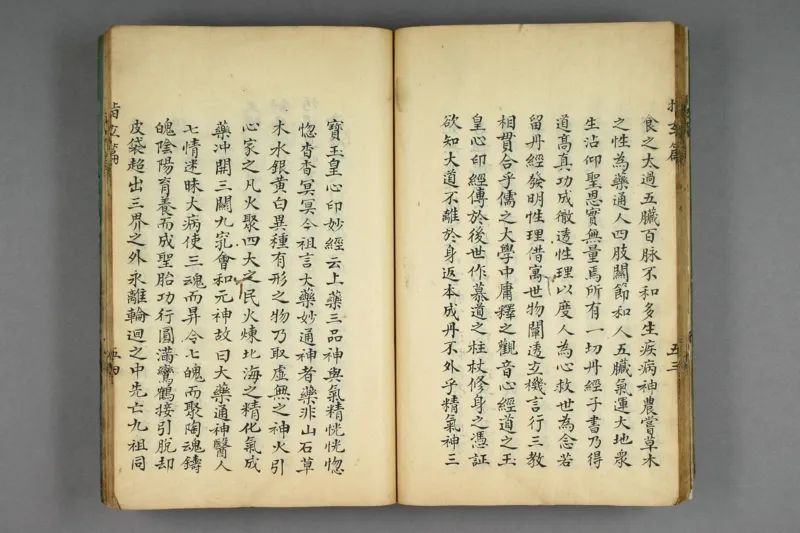 呂祖指玄篇秘註_純陽子著;滄海老人本誠子秘註_绝版书_天涯系列_t涯_绝版古籍电子书合集（13大类）_道家