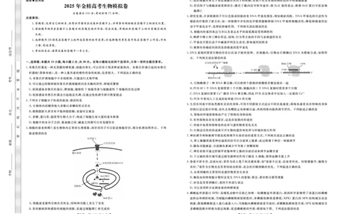 辽宁名校联盟2025高考临考押题密卷生物模拟卷_2025高中教辅（后续还会更新新习题试卷）_《高考临考押题密卷》2025版_辽宁名校联盟2025高考临考押题密卷生物模拟卷