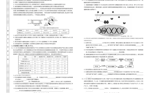 辽宁名校联盟2025高考临考押题密卷生物模拟卷_2025高中教辅（后续还会更新新习题试卷）_《高考临考押题密卷》2025版_辽宁名校联盟2025高考临考押题密卷生物模拟卷