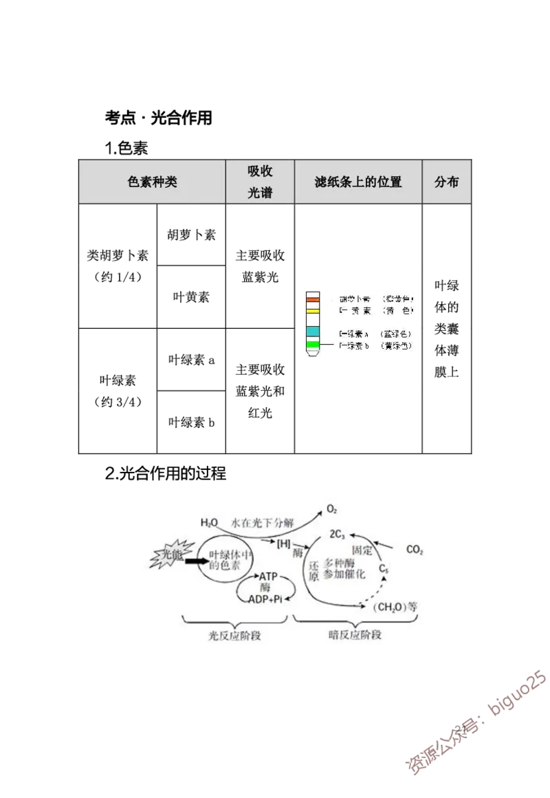 中学生物考点笔记_教资_33教资笔试历年真题汇总（科一+科二+科三）_科三真题_02初中科三各科电子资料包合集_生物（资料文档）_初中生物_03高频考点及笔记