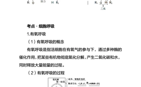 中学生物考点笔记_教资_33教资笔试历年真题汇总（科一+科二+科三）_科三真题_02初中科三各科电子资料包合集_生物（资料文档）_初中生物_03高频考点及笔记