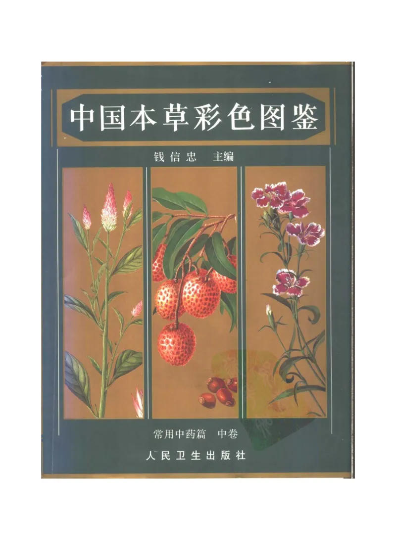 中国本草彩色图鉴（常用中药篇）（中卷）（钱信忠）_绝版书_天涯系列_t涯_绝版古籍电子书合集（13大类）_医书类_中国本草彩色图鉴（常用中药篇）_3册
