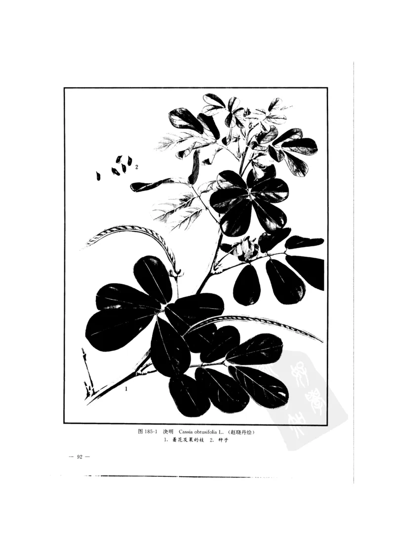 中国本草彩色图鉴（常用中药篇）（中卷）（钱信忠）_绝版书_天涯系列_t涯_绝版古籍电子书合集（13大类）_医书类_中国本草彩色图鉴（常用中药篇）_3册