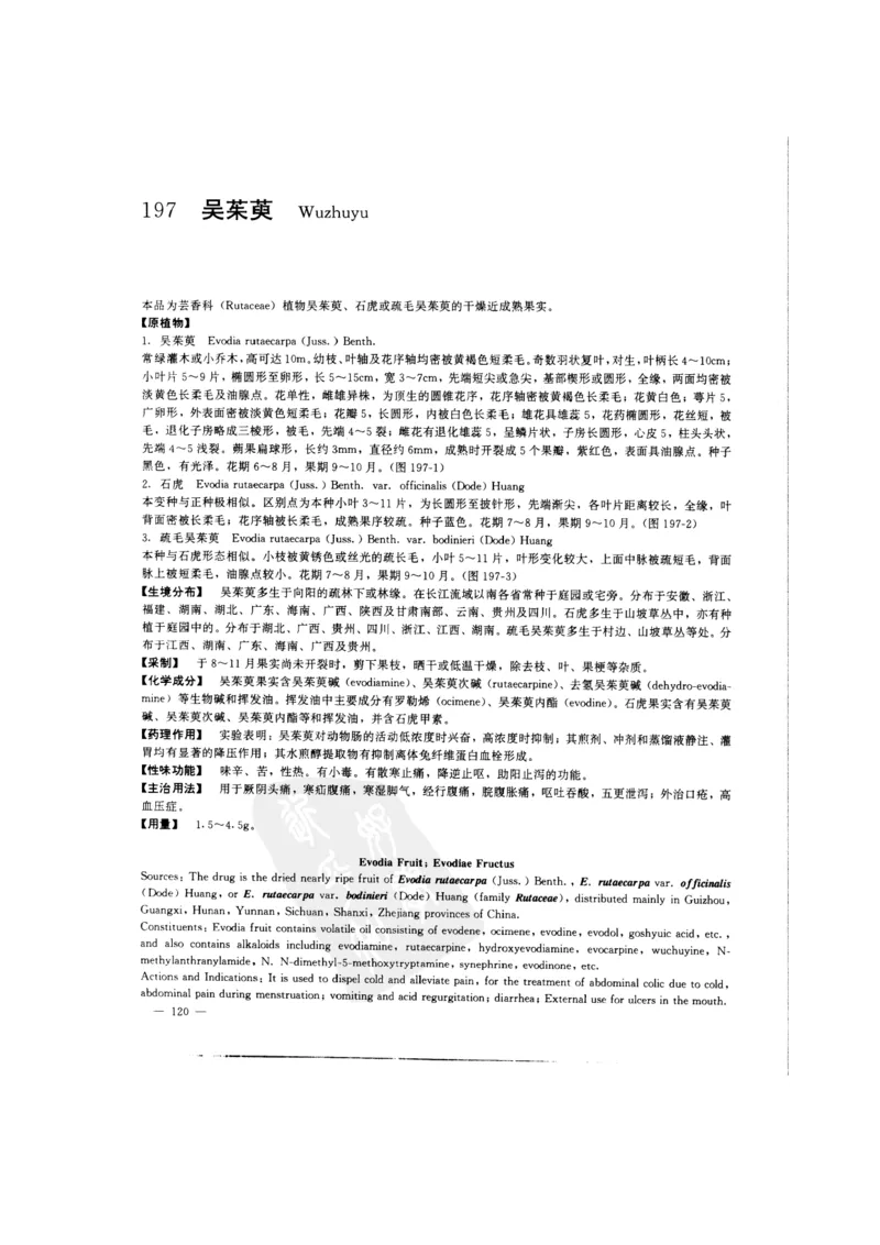 中国本草彩色图鉴（常用中药篇）（中卷）（钱信忠）_绝版书_天涯系列_t涯_绝版古籍电子书合集（13大类）_医书类_中国本草彩色图鉴（常用中药篇）_3册