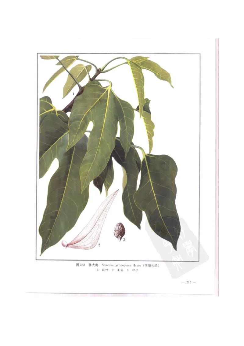 中国本草彩色图鉴（常用中药篇）（中卷）（钱信忠）_绝版书_天涯系列_t涯_绝版古籍电子书合集（13大类）_医书类_中国本草彩色图鉴（常用中药篇）_3册