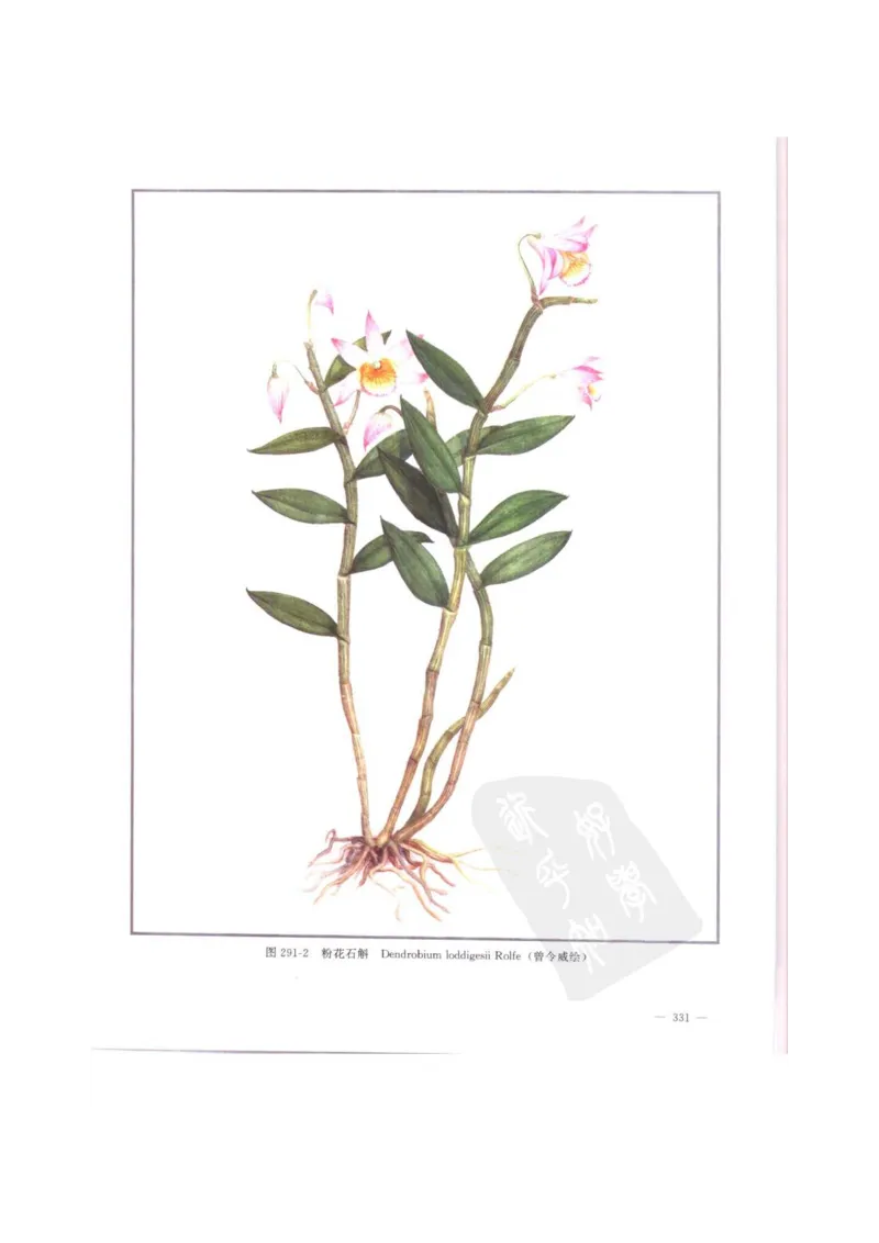 中国本草彩色图鉴（常用中药篇）（中卷）（钱信忠）_绝版书_天涯系列_t涯_绝版古籍电子书合集（13大类）_医书类_中国本草彩色图鉴（常用中药篇）_3册