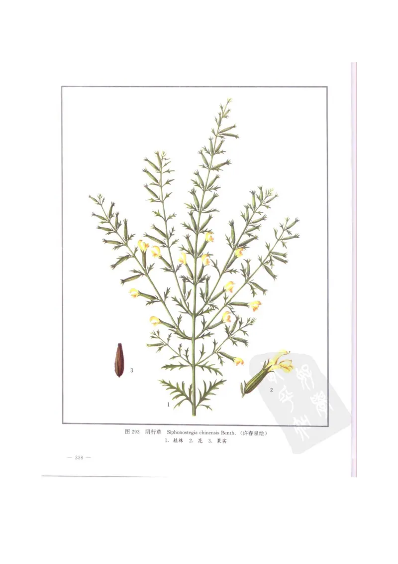 中国本草彩色图鉴（常用中药篇）（中卷）（钱信忠）_绝版书_天涯系列_t涯_绝版古籍电子书合集（13大类）_医书类_中国本草彩色图鉴（常用中药篇）_3册