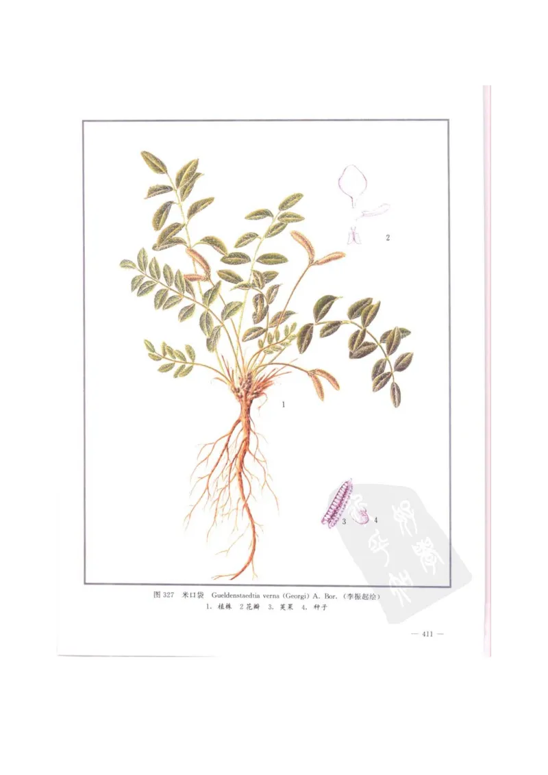 中国本草彩色图鉴（常用中药篇）（中卷）（钱信忠）_绝版书_天涯系列_t涯_绝版古籍电子书合集（13大类）_医书类_中国本草彩色图鉴（常用中药篇）_3册