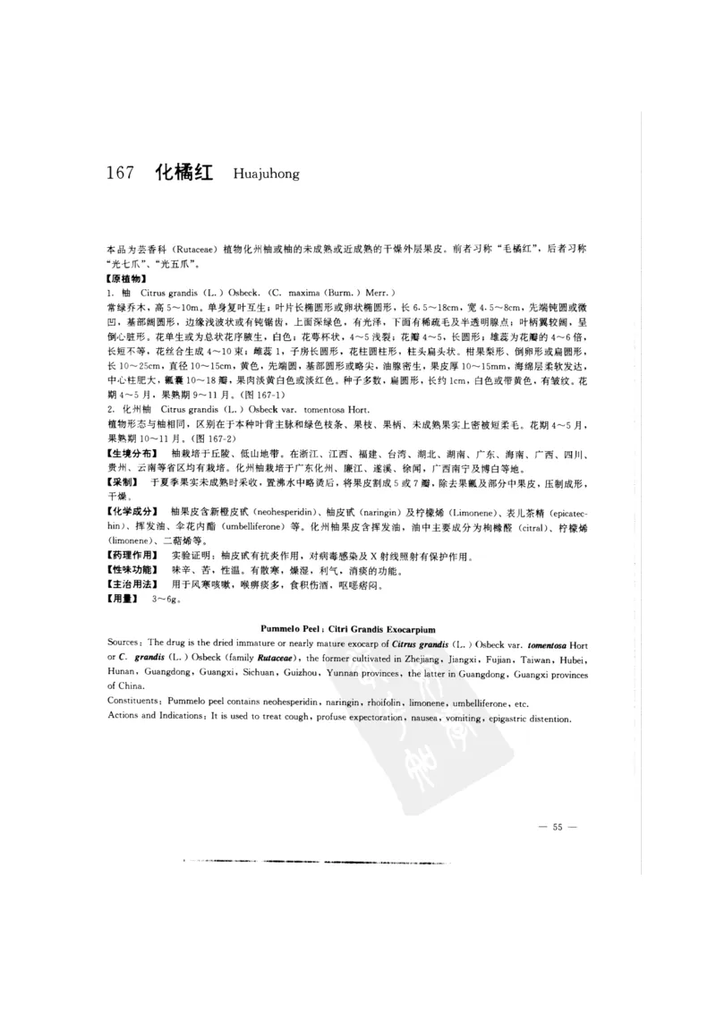 中国本草彩色图鉴（常用中药篇）（中卷）（钱信忠）_绝版书_天涯系列_t涯_绝版古籍电子书合集（13大类）_医书类_中国本草彩色图鉴（常用中药篇）_3册