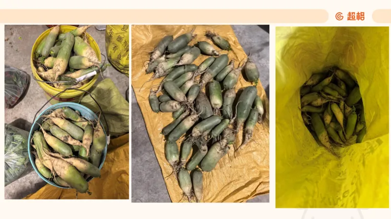 数字推理6（含归纳）_2026考公资料_超格合集_数资高照合集_数量关系高照合集⭐⭐⭐_数推2025高照数字推理400题_PPT