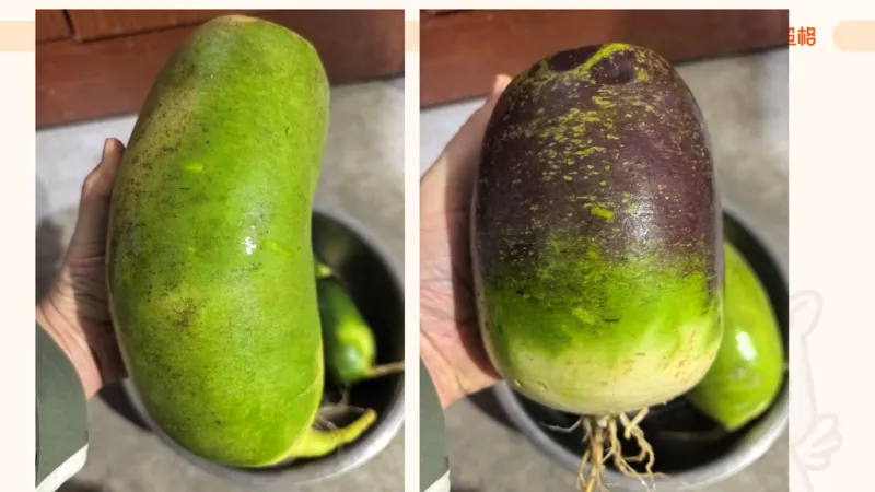 数字推理6（含归纳）_2026考公资料_超格合集_数资高照合集_数量关系高照合集⭐⭐⭐_数推2025高照数字推理400题_PPT