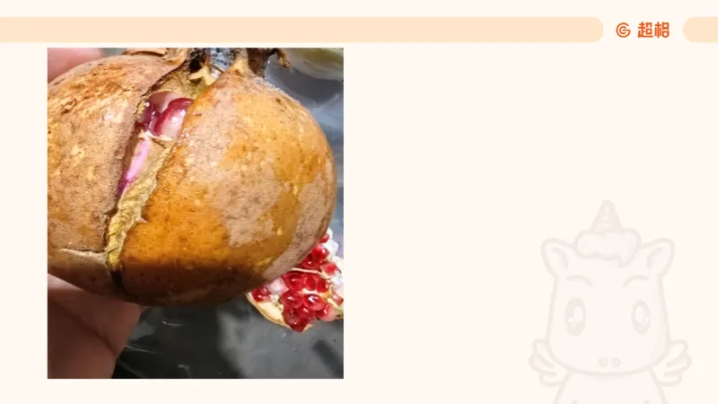 数字推理6（含归纳）_2026考公资料_超格合集_数资高照合集_数量关系高照合集⭐⭐⭐_数推2025高照数字推理400题_PPT