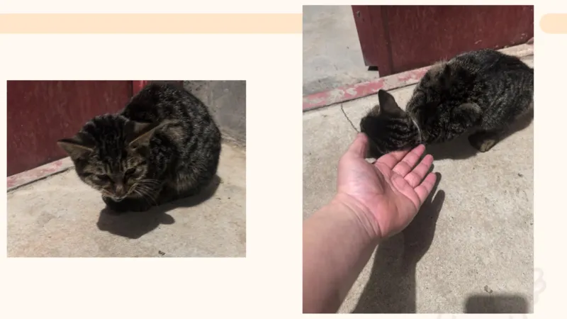 数字推理6（含归纳）_2026考公资料_超格合集_数资高照合集_数量关系高照合集⭐⭐⭐_数推2025高照数字推理400题_PPT