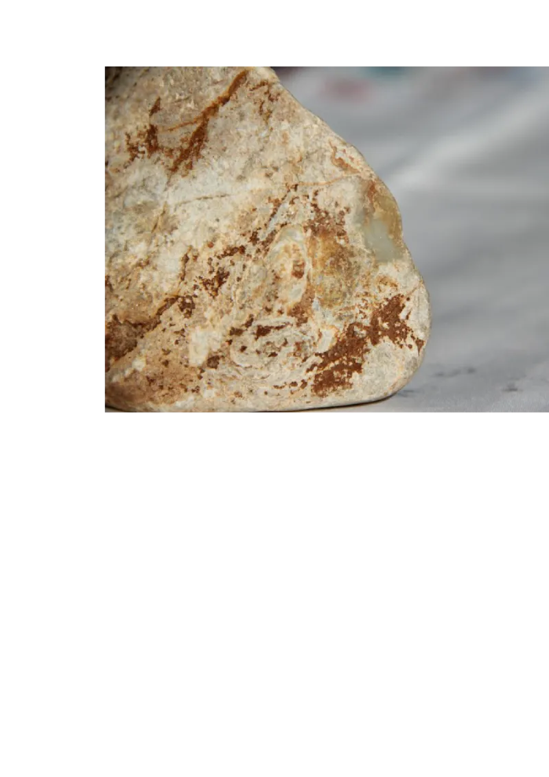 草根赌石之我的&ldquo;十三太保&rdquo;_X018-玉石珠宝鉴定教程最新合集_8、玉石翡翠鉴定与投资电子资料_赌石专题