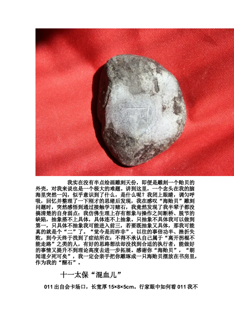 草根赌石之我的&ldquo;十三太保&rdquo;_X018-玉石珠宝鉴定教程最新合集_8、玉石翡翠鉴定与投资电子资料_赌石专题