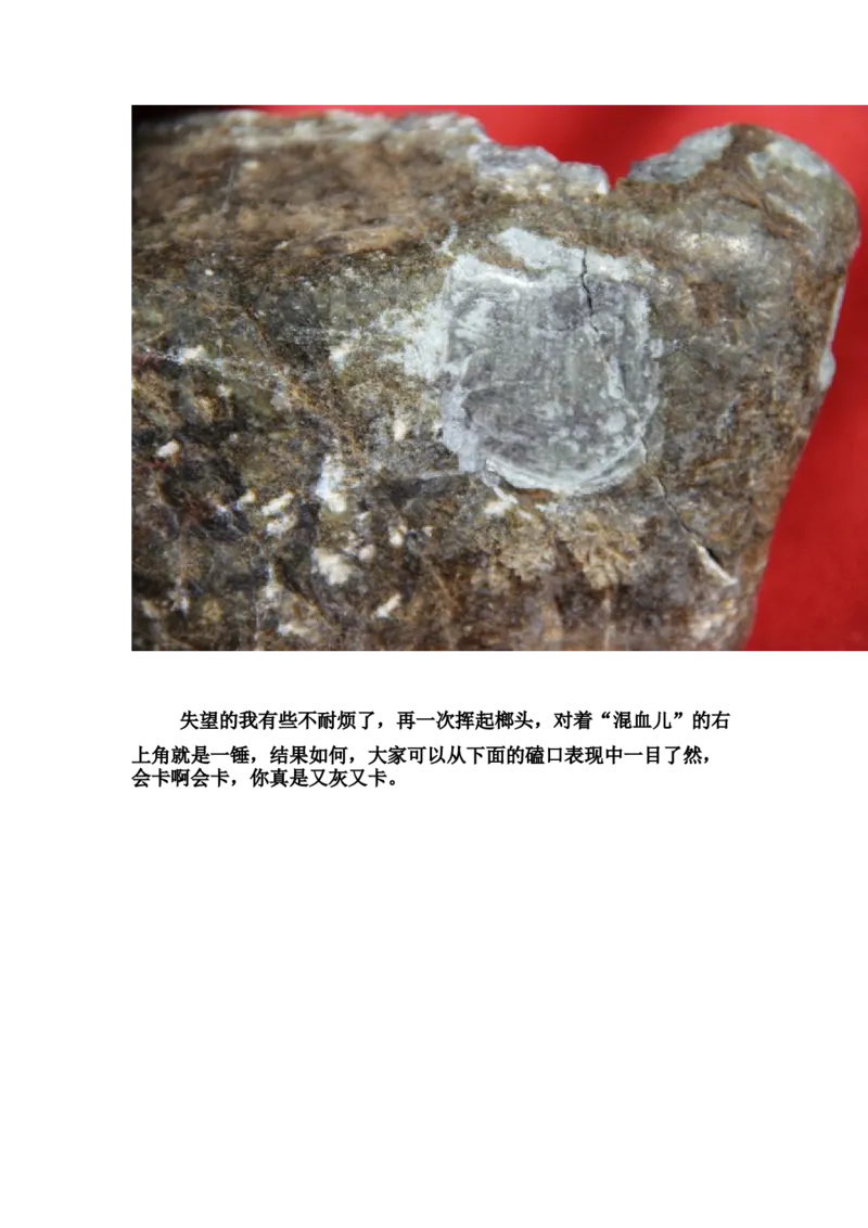 草根赌石之我的&ldquo;十三太保&rdquo;_X018-玉石珠宝鉴定教程最新合集_8、玉石翡翠鉴定与投资电子资料_赌石专题