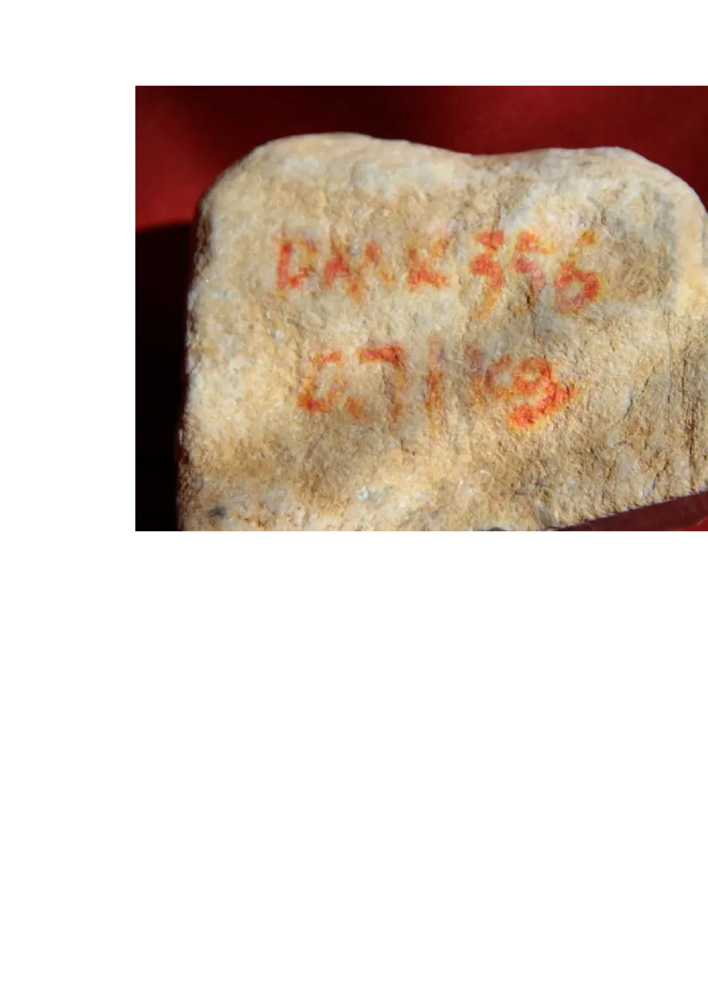 草根赌石之我的&ldquo;十三太保&rdquo;_X018-玉石珠宝鉴定教程最新合集_8、玉石翡翠鉴定与投资电子资料_赌石专题