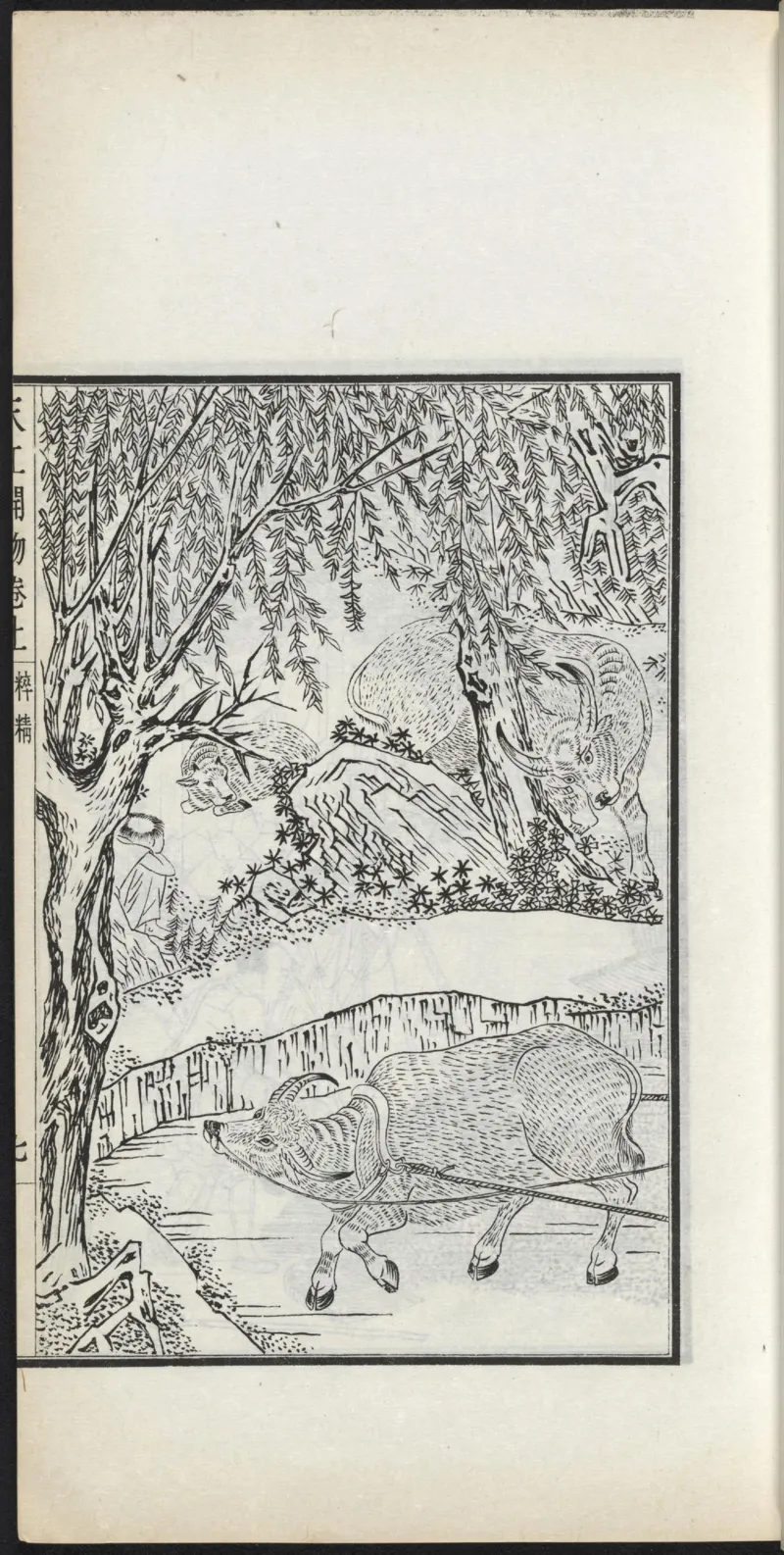 太阴少阴和阙阴_绝版书_天涯系列_t涯_绝版古籍电子书合集（13大类）_医书类