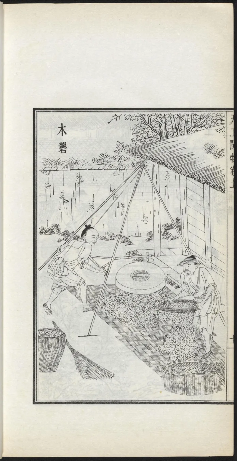 太阴少阴和阙阴_绝版书_天涯系列_t涯_绝版古籍电子书合集（13大类）_医书类