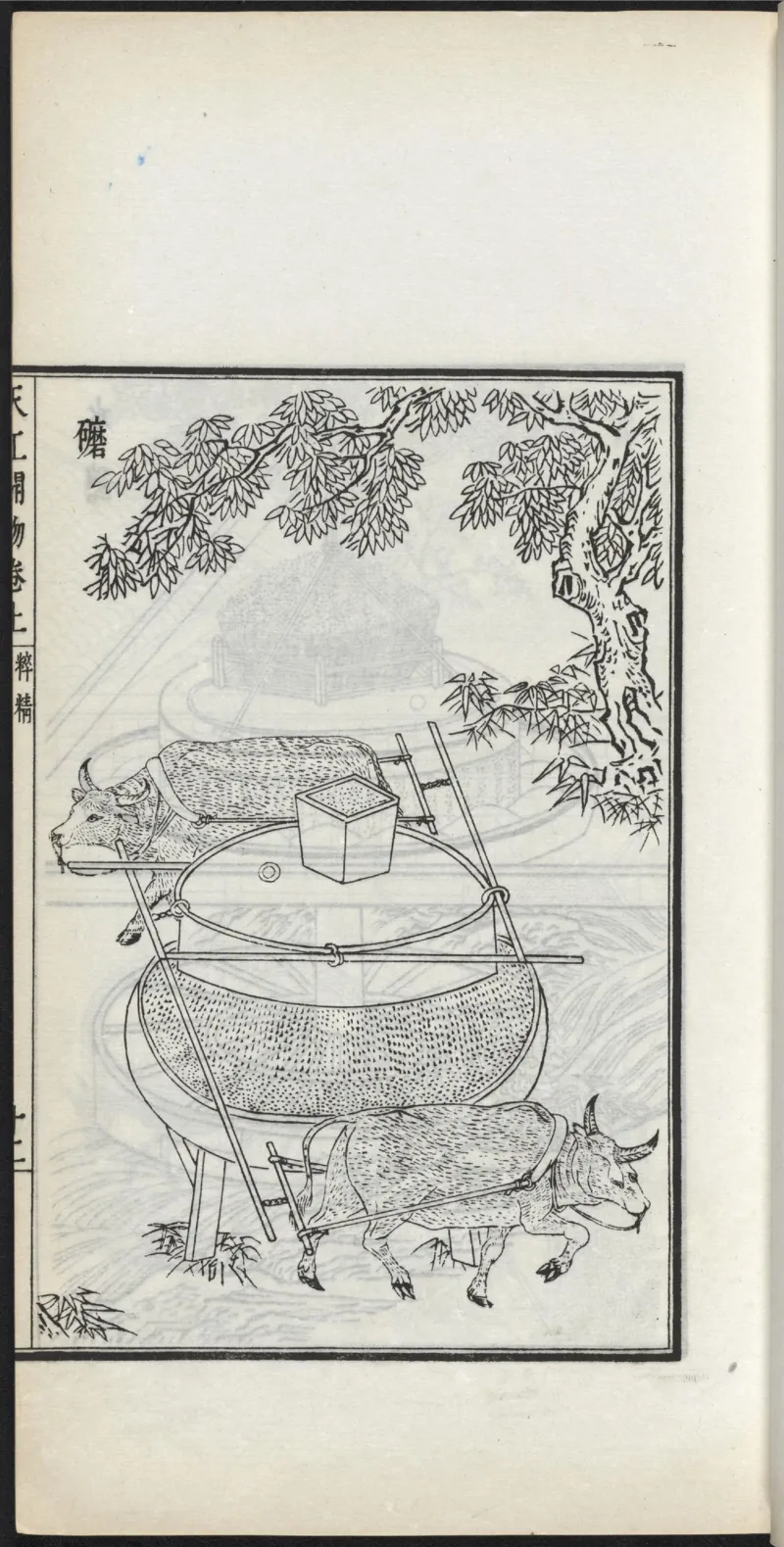 太阴少阴和阙阴_绝版书_天涯系列_t涯_绝版古籍电子书合集（13大类）_医书类