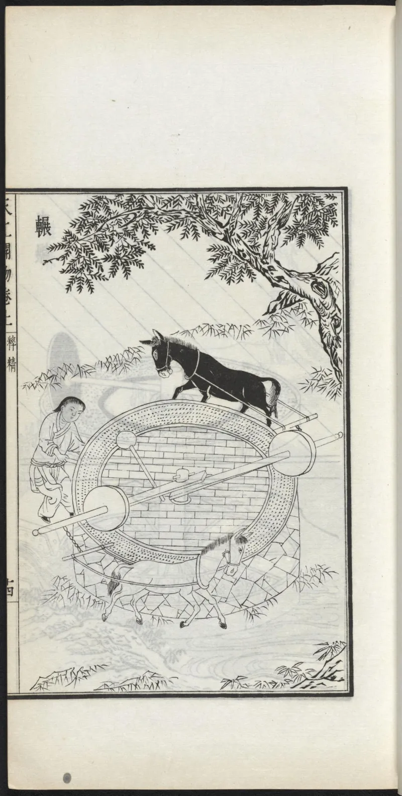 太阴少阴和阙阴_绝版书_天涯系列_t涯_绝版古籍电子书合集（13大类）_医书类