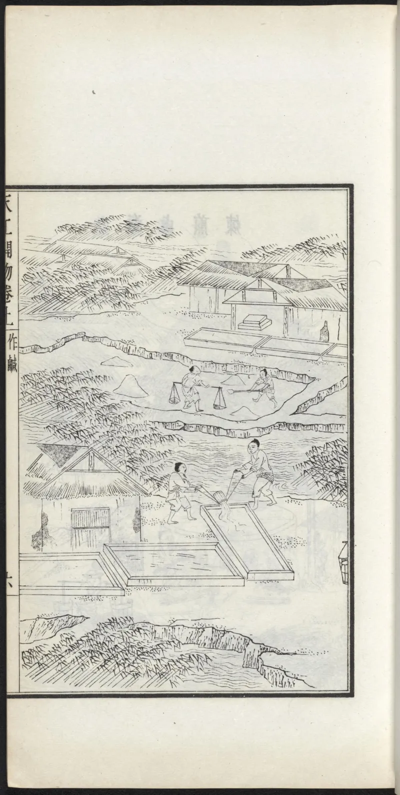 太阴少阴和阙阴_绝版书_天涯系列_t涯_绝版古籍电子书合集（13大类）_医书类