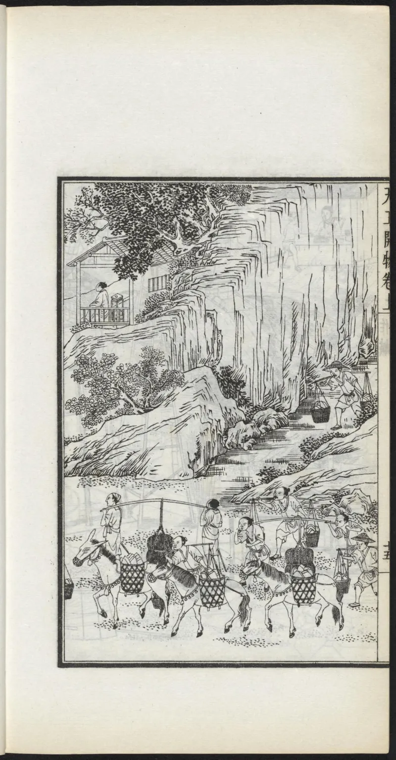 太阴少阴和阙阴_绝版书_天涯系列_t涯_绝版古籍电子书合集（13大类）_医书类