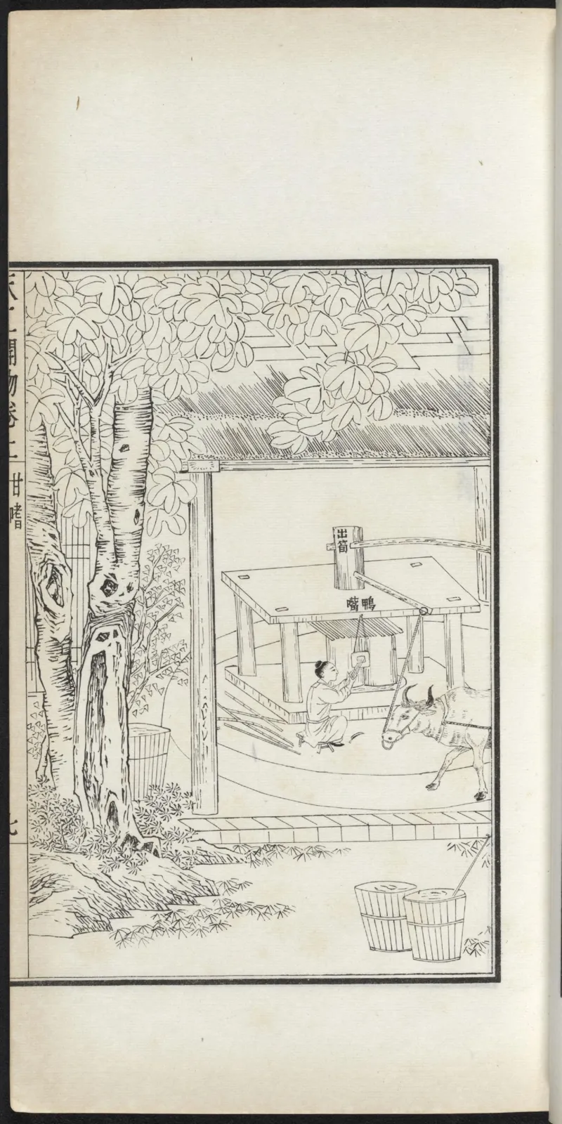 太阴少阴和阙阴_绝版书_天涯系列_t涯_绝版古籍电子书合集（13大类）_医书类