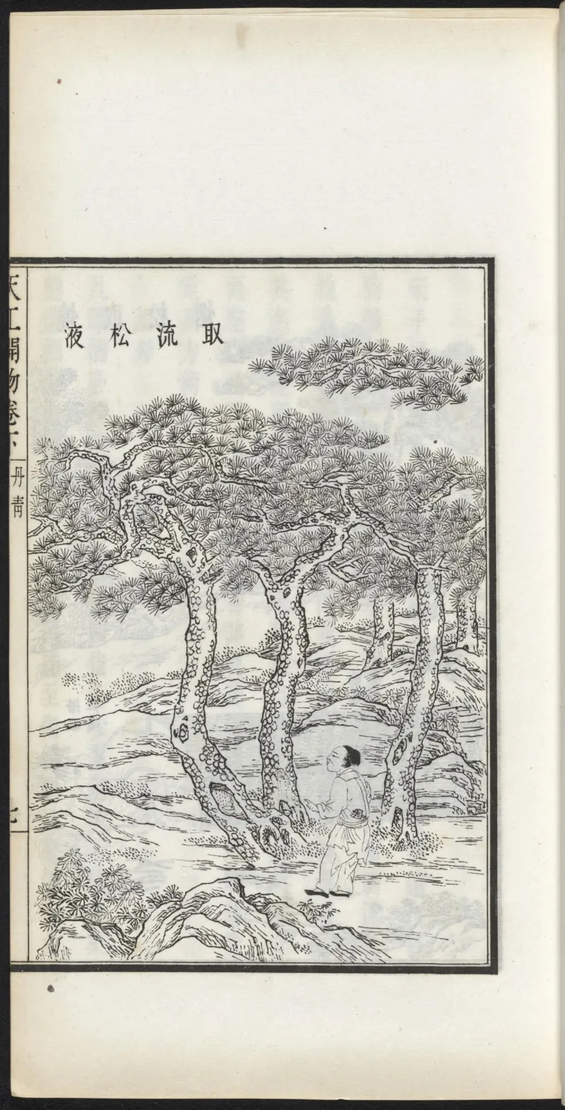 太阴少阴和阙阴_绝版书_天涯系列_t涯_绝版古籍电子书合集（13大类）_医书类