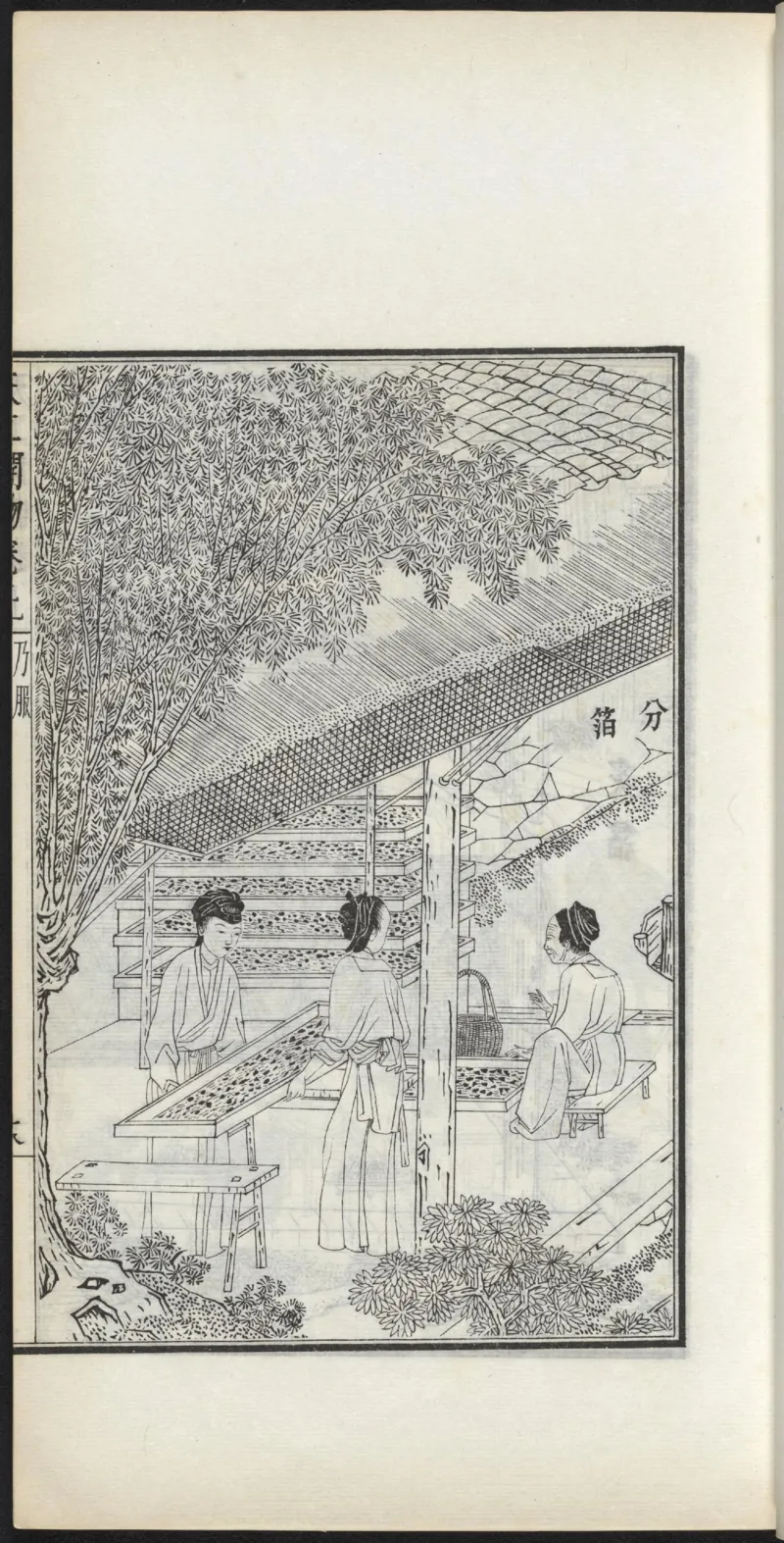 太阴少阴和阙阴_绝版书_天涯系列_t涯_绝版古籍电子书合集（13大类）_医书类