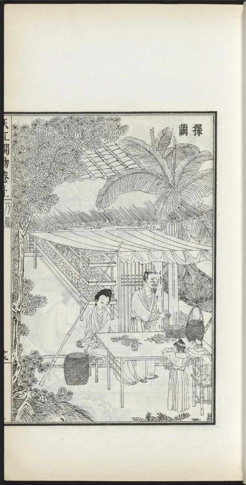 太阴少阴和阙阴_绝版书_天涯系列_t涯_绝版古籍电子书合集（13大类）_医书类