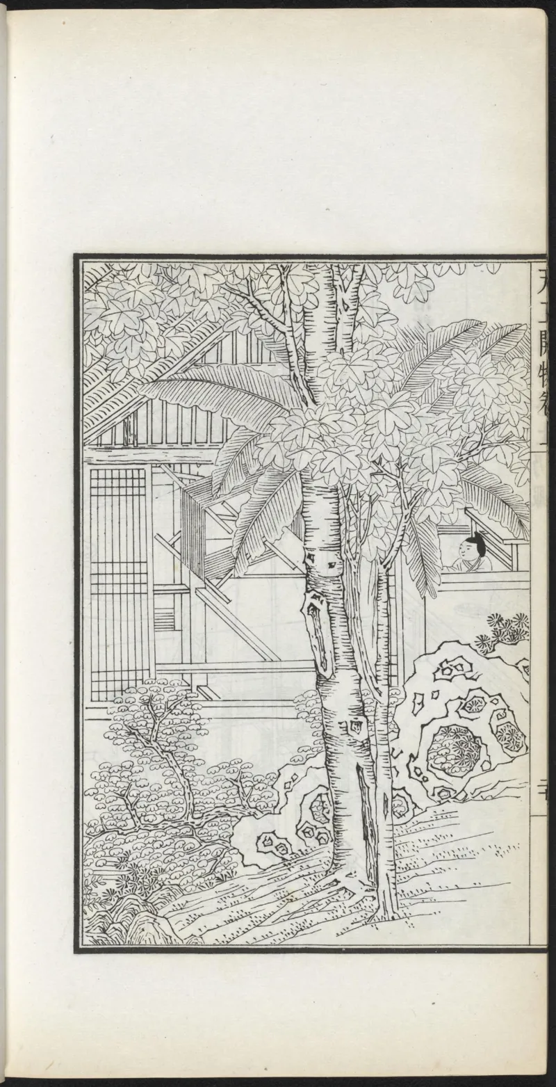 太阴少阴和阙阴_绝版书_天涯系列_t涯_绝版古籍电子书合集（13大类）_医书类