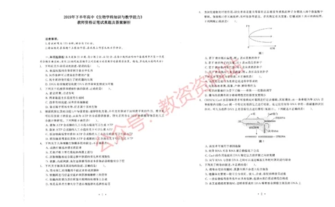 2019年下半年高中《生物》教师资格证笔试真题及答案解析_教资_33教资笔试历年真题汇总（科一+科二+科三）_科三真题_02高中科三各科电子资料包合集_生物（资料文档）