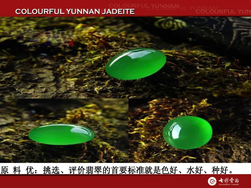 藏者赢天下-七彩云南翡翠鉴赏_X018-玉石珠宝鉴定教程最新合集_6、翡翠鉴定专题全套课程_翡翠电子书_翡翠品评