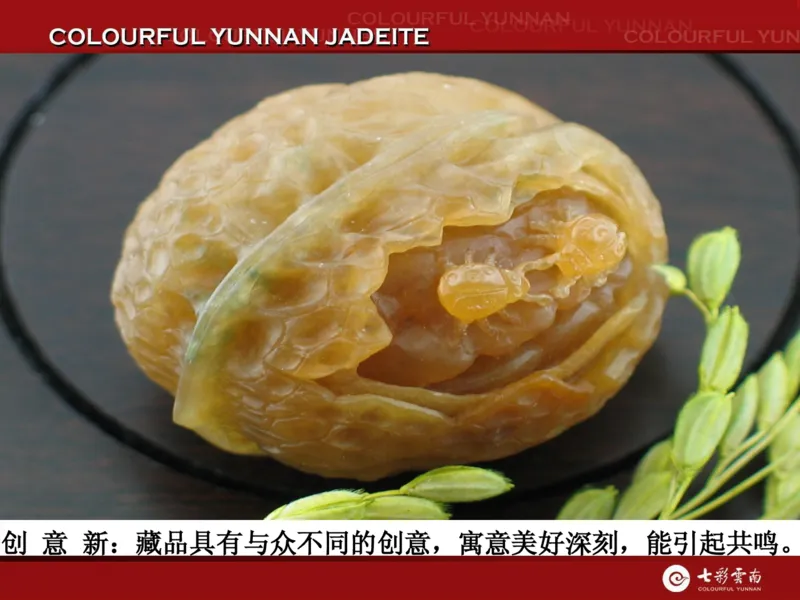 藏者赢天下-七彩云南翡翠鉴赏_X018-玉石珠宝鉴定教程最新合集_6、翡翠鉴定专题全套课程_翡翠电子书_翡翠品评