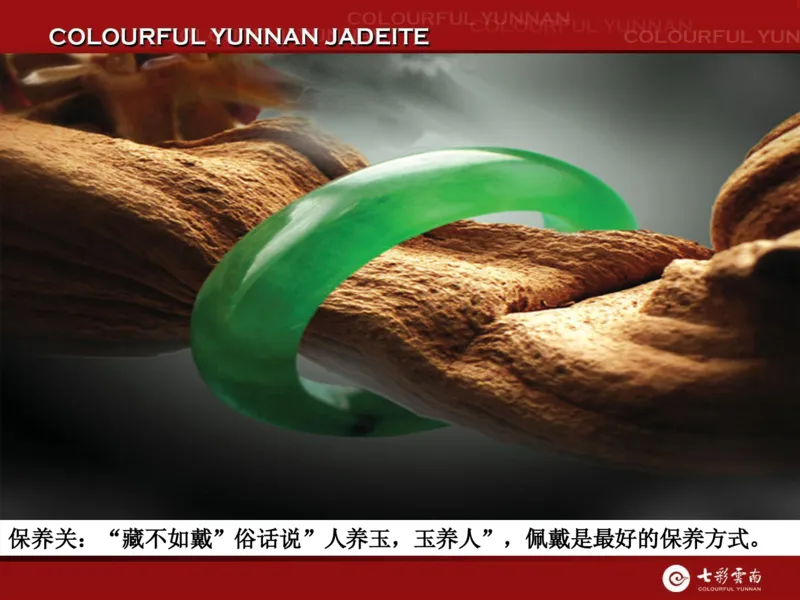 藏者赢天下-七彩云南翡翠鉴赏_X018-玉石珠宝鉴定教程最新合集_6、翡翠鉴定专题全套课程_翡翠电子书_翡翠品评