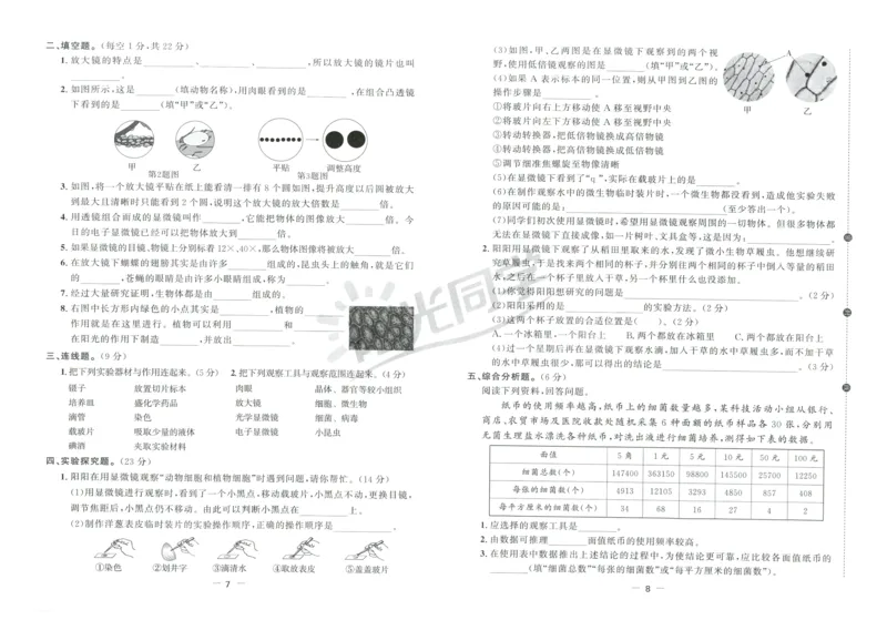 阳光同学全优好卷：六年级科学上G_25秋小学语数英习题试卷_科学_科学《阳光同学全优好卷》教科25秋(1)
