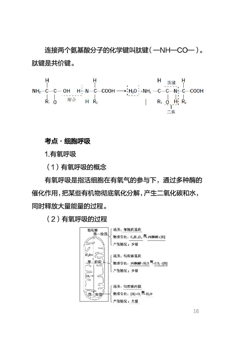 中学生物考点笔记_教资_33教资笔试历年真题汇总（科一+科二+科三）_科三真题_02高中科三各科电子资料包合集_生物（资料文档）_高中生物_03高频考点及笔记