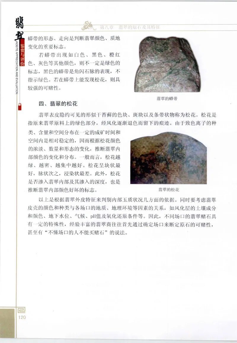 翡翠鉴赏与评价_X018-玉石珠宝鉴定教程最新合集_6、翡翠鉴定专题全套课程_翡翠电子书_翡翠鉴赏_11-20