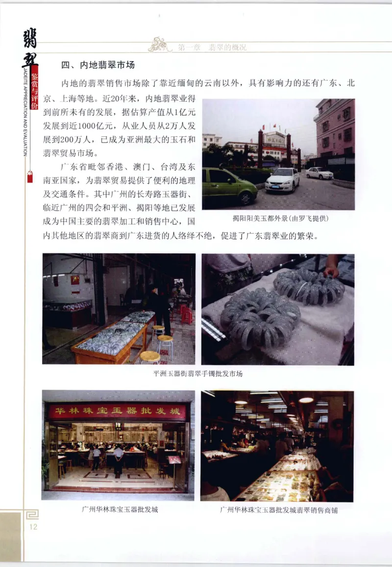 翡翠鉴赏与评价_X018-玉石珠宝鉴定教程最新合集_6、翡翠鉴定专题全套课程_翡翠电子书_翡翠鉴赏_11-20