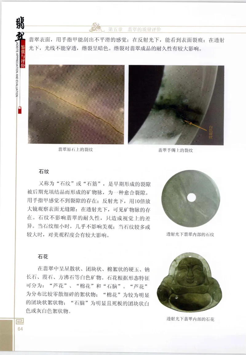 翡翠鉴赏与评价_X018-玉石珠宝鉴定教程最新合集_6、翡翠鉴定专题全套课程_翡翠电子书_翡翠鉴赏_11-20