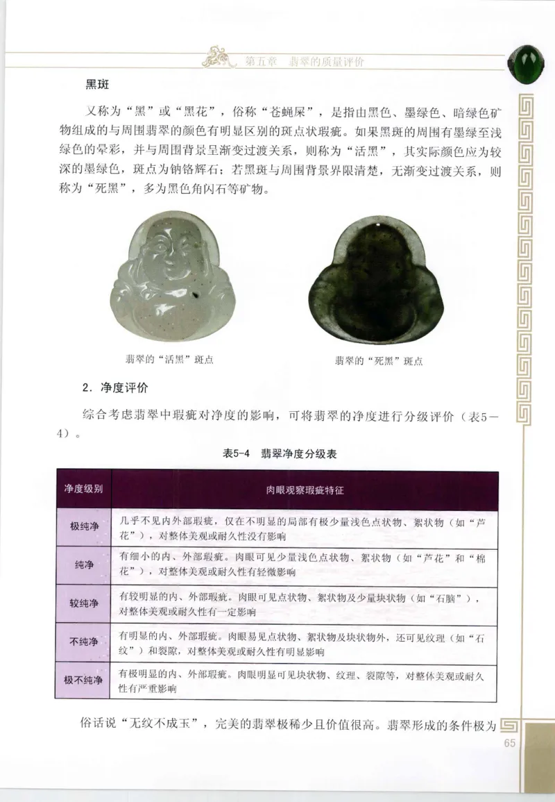 翡翠鉴赏与评价_X018-玉石珠宝鉴定教程最新合集_6、翡翠鉴定专题全套课程_翡翠电子书_翡翠鉴赏_11-20