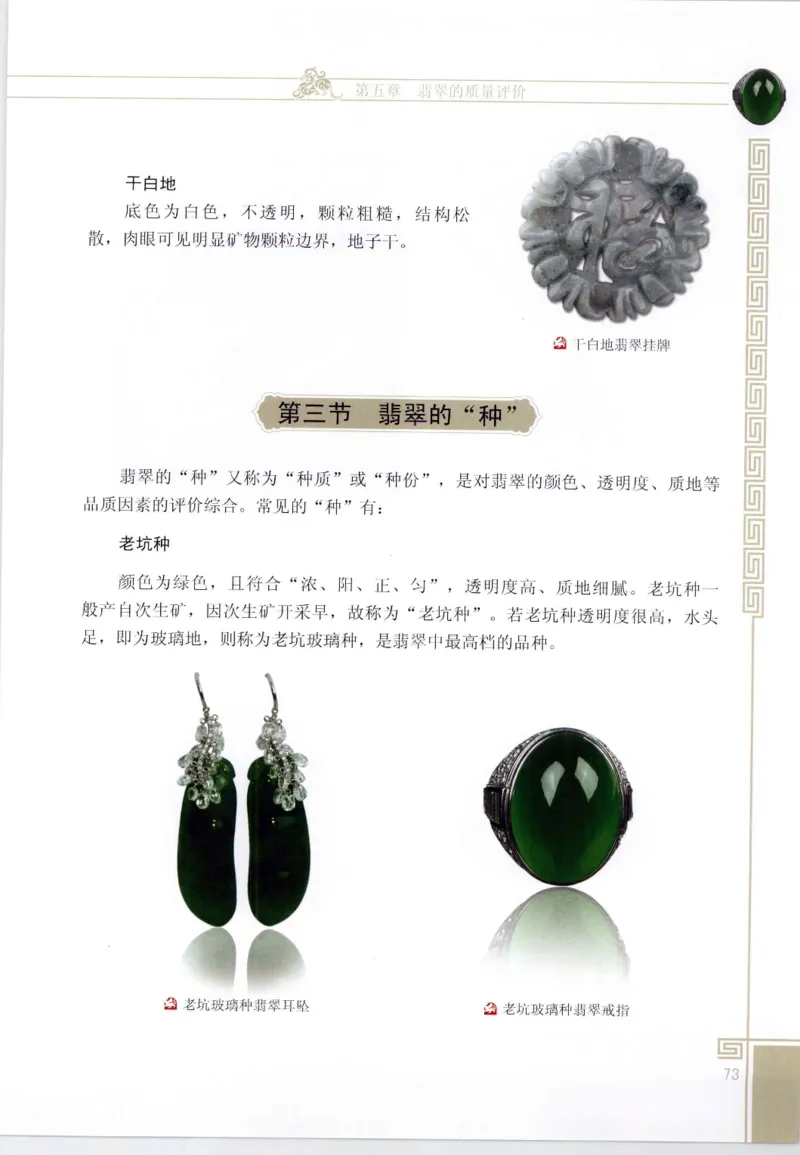 翡翠鉴赏与评价_X018-玉石珠宝鉴定教程最新合集_6、翡翠鉴定专题全套课程_翡翠电子书_翡翠鉴赏_11-20