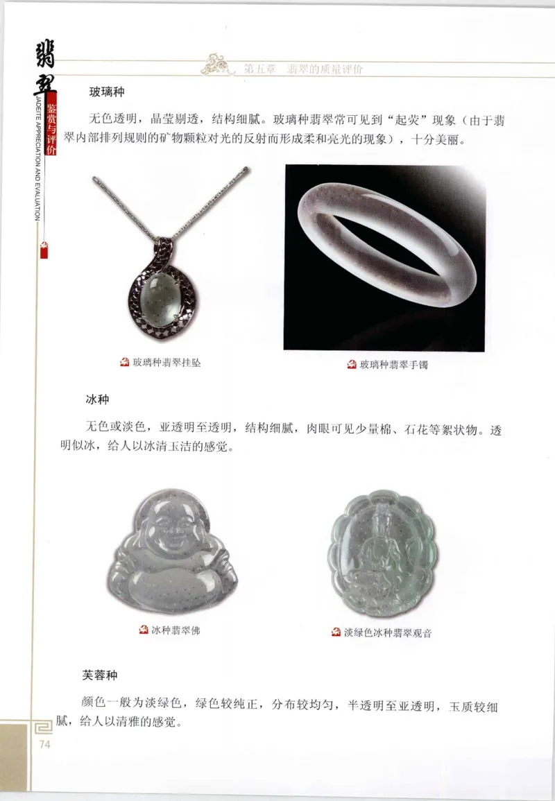翡翠鉴赏与评价_X018-玉石珠宝鉴定教程最新合集_6、翡翠鉴定专题全套课程_翡翠电子书_翡翠鉴赏_11-20