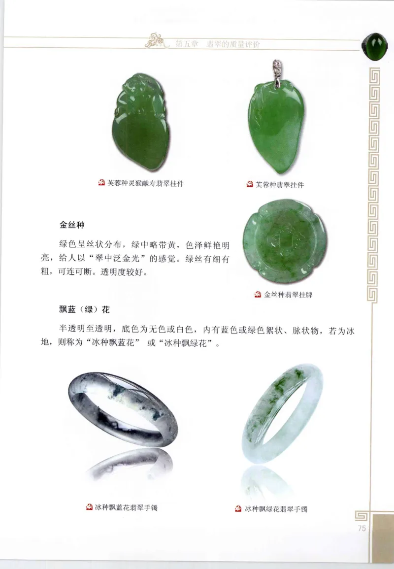 翡翠鉴赏与评价_X018-玉石珠宝鉴定教程最新合集_6、翡翠鉴定专题全套课程_翡翠电子书_翡翠鉴赏_11-20