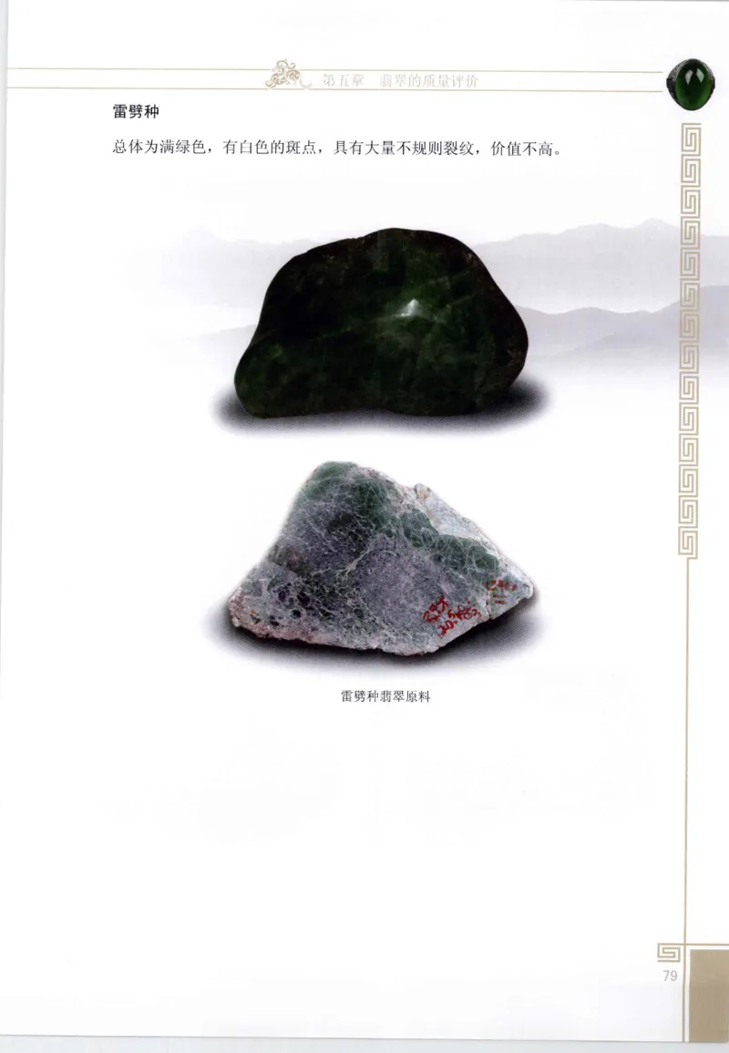 翡翠鉴赏与评价_X018-玉石珠宝鉴定教程最新合集_6、翡翠鉴定专题全套课程_翡翠电子书_翡翠鉴赏_11-20