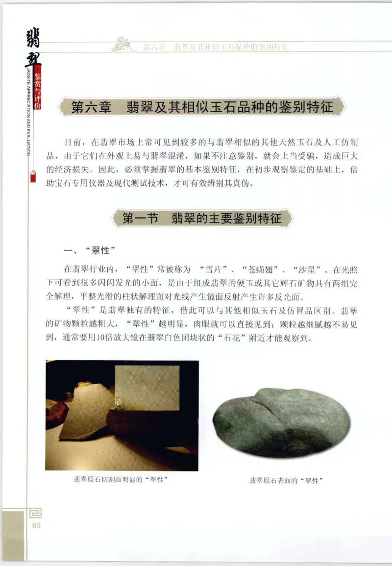 翡翠鉴赏与评价_X018-玉石珠宝鉴定教程最新合集_6、翡翠鉴定专题全套课程_翡翠电子书_翡翠鉴赏_11-20