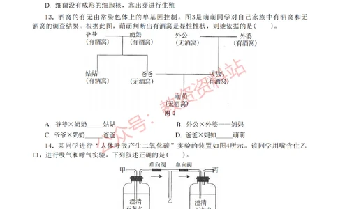 2019年下半年初中《生物》教师资格证笔试真题及答案解析_教资_33教资笔试历年真题汇总（科一+科二+科三）_科三真题_02初中科三各科电子资料包合集_生物（资料文档）