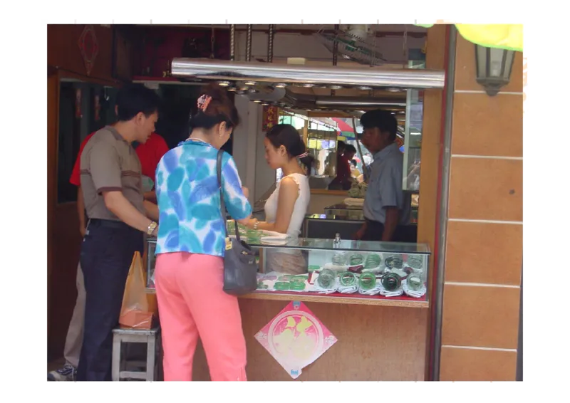 翡翠鉴别_X018-玉石珠宝鉴定教程最新合集_6、翡翠鉴定专题全套课程_翡翠电子书_翡翠鉴赏_31-40